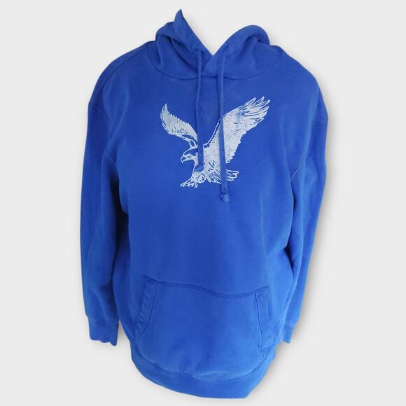 American Eagle Hoodie Men's Sz L Tall Blue Athletic Fit Eagle Design - Picture 1 of 6